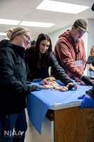 CollisonEmbryo_RaisingtheBar_202604_MB_R63_1296_E