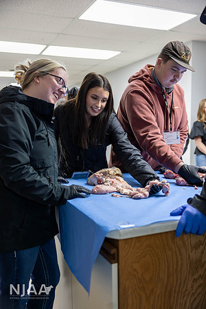 CollisonEmbryo_RaisingtheBar_202604_MB_R63_1296_E