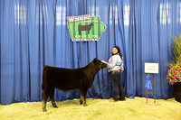 Late Heifer Calf 1-4