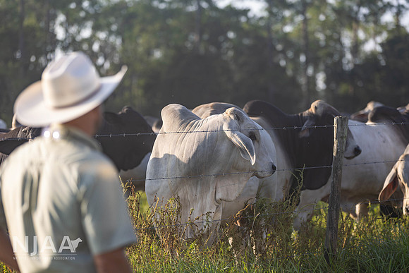 RanchTours_LEAD26_MB_R63_9564_E
