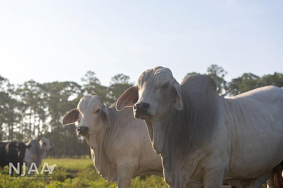 RanchTours_LEAD26_MB_R63_9613_E