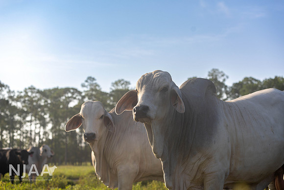 RanchTours_LEAD26_MB_R63_9614_E