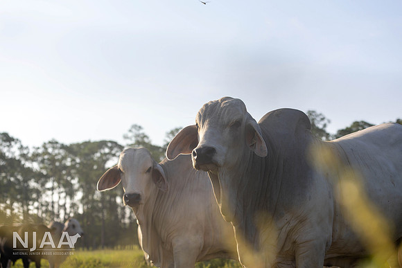 RanchTours_LEAD26_MB_R63_9615_E