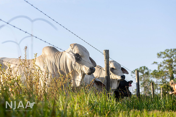 RanchTours_LEAD26_MB_R63_9631_E