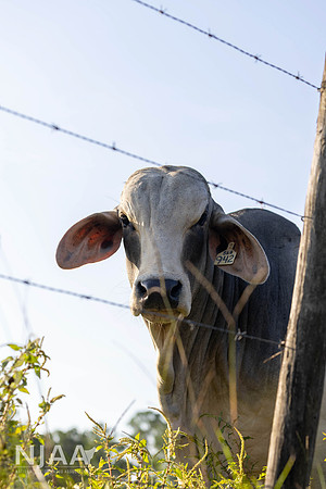 RanchTours_LEAD26_MB_R63_9643_E