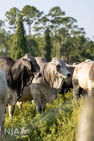 RanchTours_LEAD26_MB_R63_9659_E