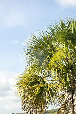RanchTours_LEAD26_MB_R63_9702_E