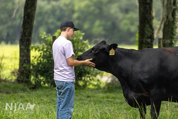BearHillCattle_LEAD26_MB_R63_0144_E