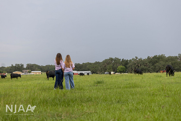 BearHillCattle_LEAD26_MB_R63_0192_E