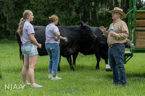 BearHillCattle_LEAD26_JL_R62_0831_E