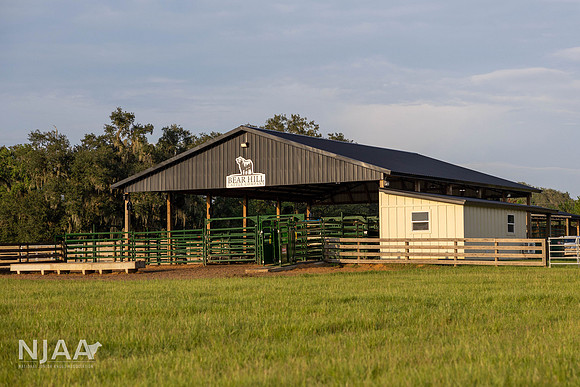BearHillCattle_LEAD26_JL_R62_0953_E