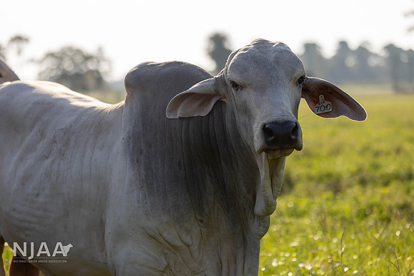 RanchTours_LEAD26_JL_R62_0180_E