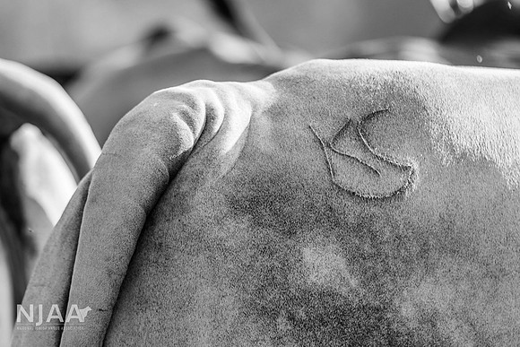 RanchTours_LEAD26_JL_R62_0183_E BW