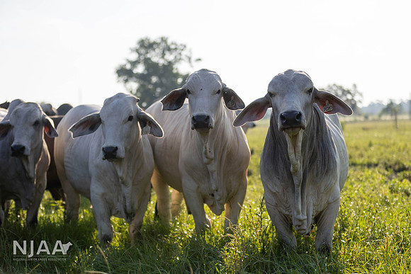 RanchTours_LEAD26_JL_R62_0178_E