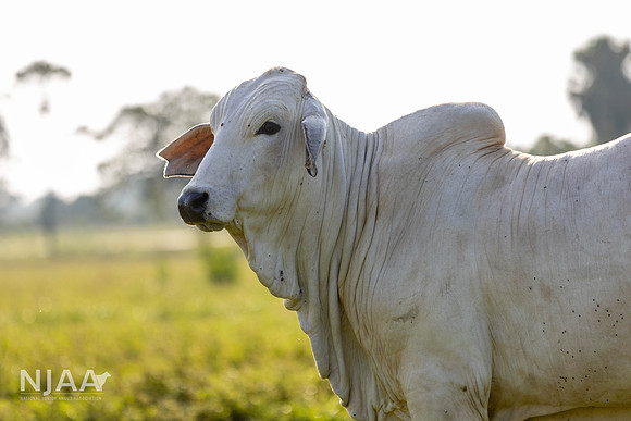 RanchTours_LEAD26_JL_R62_0185_E