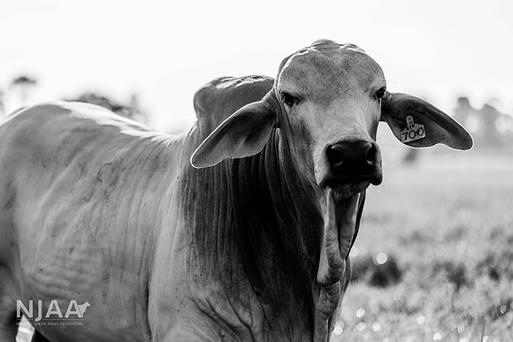RanchTours_LEAD26_JL_R62_0182_E BW