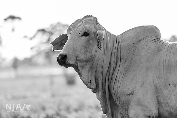 RanchTours_LEAD26_JL_R62_0186_E BW