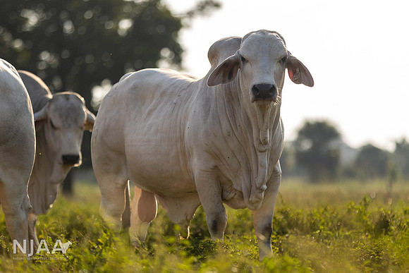 RanchTours_LEAD26_JL_R62_0195_E
