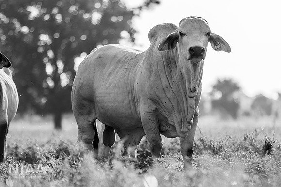 RanchTours_LEAD26_JL_R62_0201_E BW