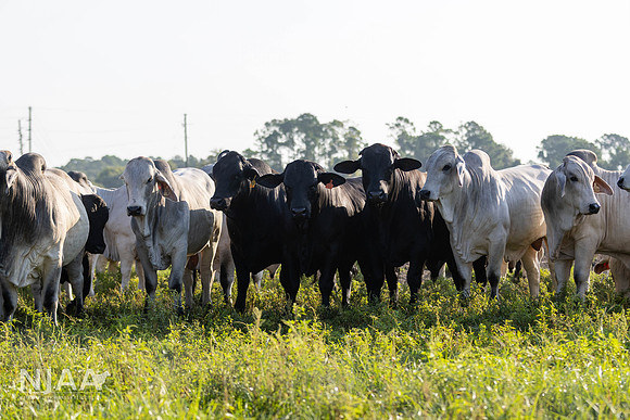 RanchTours_LEAD26_JL_R62_0208_E