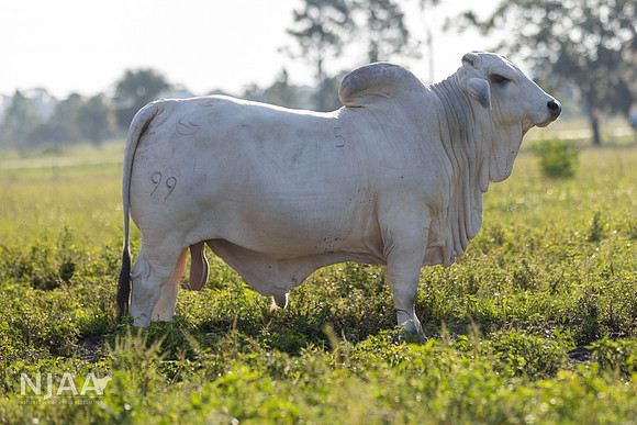 RanchTours_LEAD26_JL_R62_0215_E