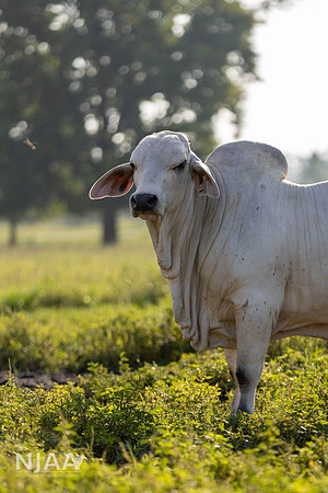 RanchTours_LEAD26_JL_R62_0210_E
