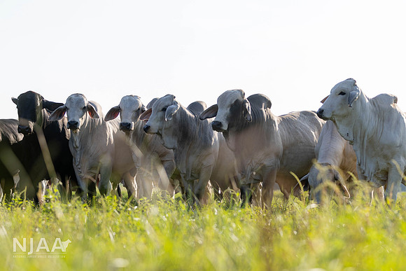 RanchTours_LEAD26_JL_R62_0220_E