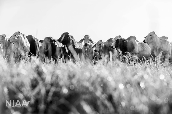 RanchTours_LEAD26_JL_R62_0228_E BW
