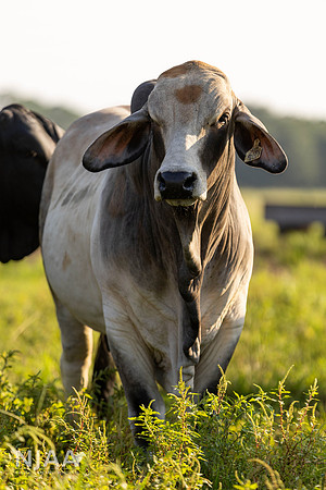 RanchTours_LEAD26_JL_R62_0233_E