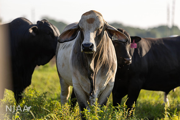 RanchTours_LEAD26_JL_R62_0231_E