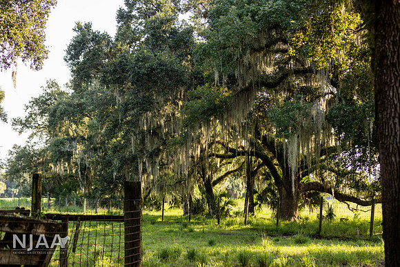 RanchTours_LEAD26_JL_R62_0259_E