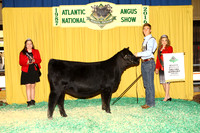 Female Backdrop