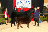 MB197779_Res_Cow_Calf_Pair_Jenna_Hamilton