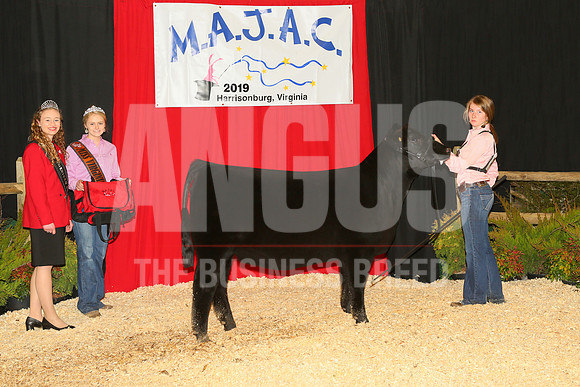 MB198249_Res_Late_Junior_Yearling_Heifer_Kelly_Spicer
