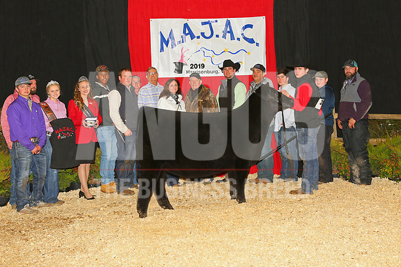 MB198459_Ch_Owned_Heifer_Ch_Early_Junior_Yearling_Heifer_Suter_Clark