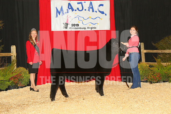 MB198467_Ch_Intermediate_Heifer_Kathryn_Coleman