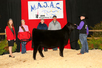 MB198239_Ch_Late_Junior_Yearling_Heifer_Gordon_Clark