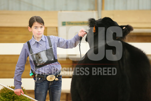 MB196885
