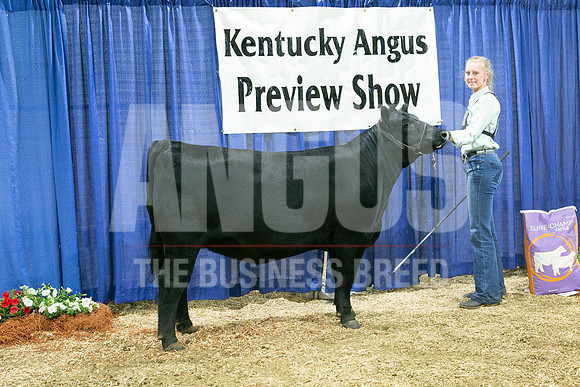 MB192450_Res_Junior_Heifer_Caroline_Cowles