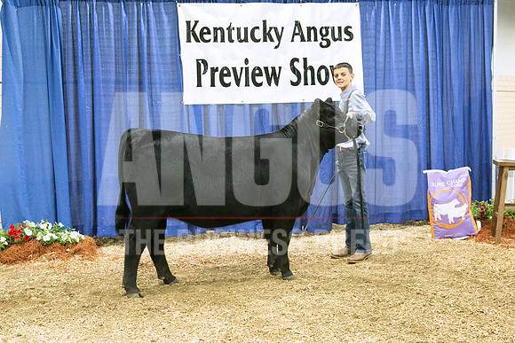 MB192481_Ch_Senior_Heifer_Calf_Jacob_Marksbury