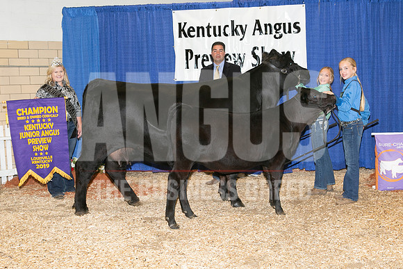 MB192292_Ch_Bred_And_Owned_Cow_Calf_Lily_Jefferies