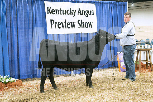 MB192401_Res_Senior_Heifer_Calf_Bradon_Burks