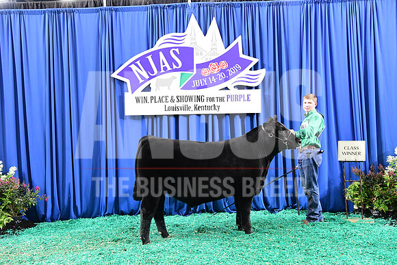 2019 NJAS_Steer_1st Class 2_exhibited by Cutter Pohlman_APG_5666