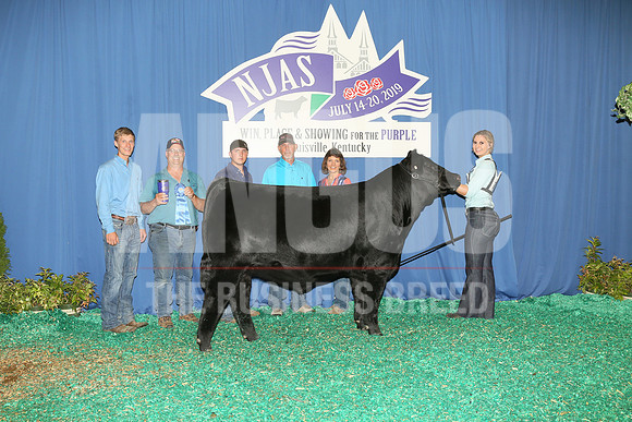 2019 NJAS_Steer_1st Class 6_exhibited by Megan Pelan_MB196859