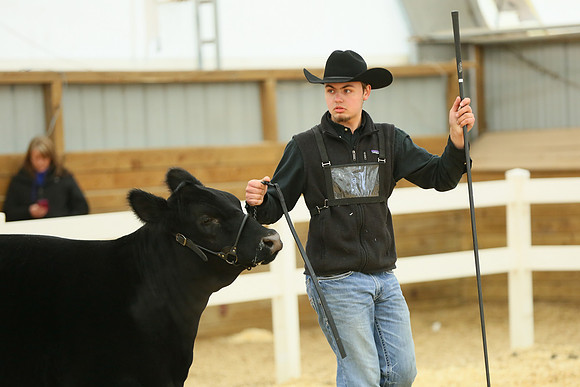 MB20-MAJAC-0064