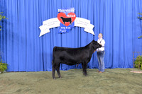 2014 NJAS | Owned Heifer Class Winners