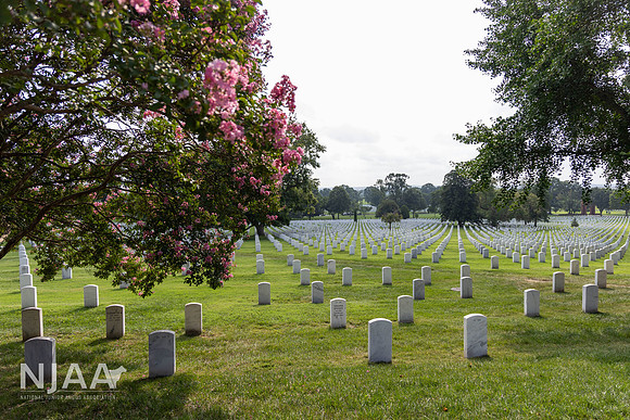 ArlingtonCemetery_LEAD25_AM_R62_7459_E